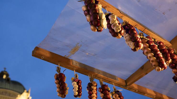 La masse d'oignons qui a fondu sur Berne lundi à l'occasion de la foire éponyme est trompeuse: cette année, la récolte de ce légume a été maigre en Suisse.