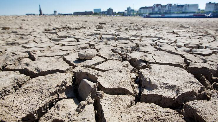 Les sécheresses, alimentées par le réchauffement et une gestion insoutenable des ressources en eau et des sols, devraient toucher 75% de la population mondiale d'ici 2050, indique un rapport de l'ONU.
