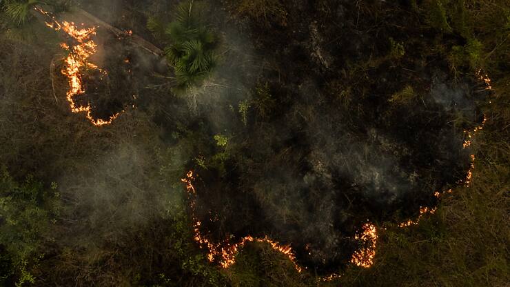 Si la sécheresse a contribué à favoriser la vague d'incendies, la plupart des feux ont été allumés délibérément pour défricher des terres à des fins agricoles, selon des experts.