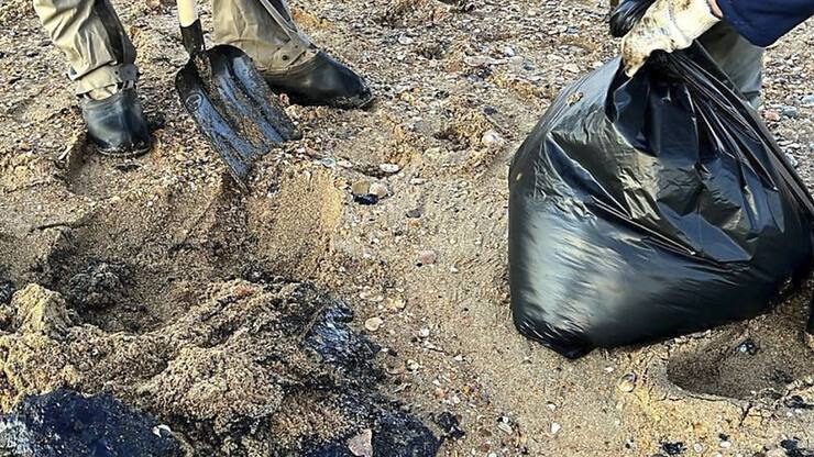 Alors que les plages sont souillées, la marée noire consécutive à l'échouage de deux pétroliers dans la mer Noire à mi-décembre continue de provoquer des effets: une trentaine de cétacés ont ainsi été trouvés morts (Archives).