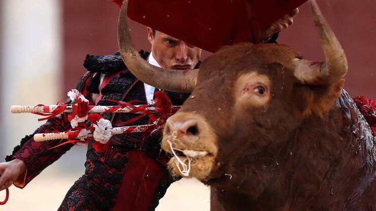 Le Mexique renonce à la tauromachie. Photo: Le torero espagnol Diego Urdiales combat un taureau lors d'une corrida de charité organisée dans des arènes à Madrid en 2019.