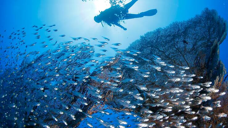 Un accident de sous-marin touristique s'est produit jeudi en Mer Rouge (photo prétexte).