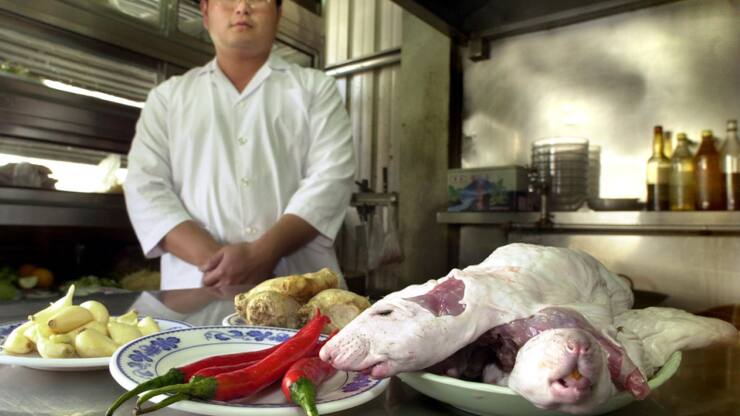 Le rat peut se cuisiner, comme ici à Taïwan, mais en l'occurrence il constituait plutôt un signe d'insalubrité (Photo prétexte)..