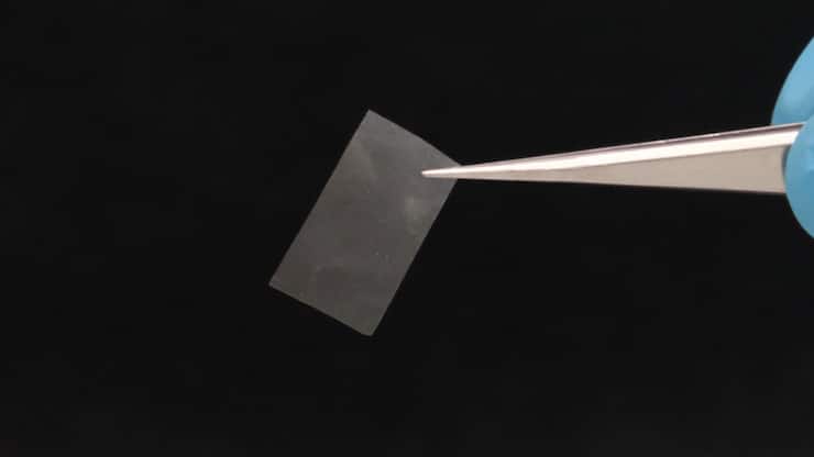 Selon l'Empa, le film vivant est presque transparent et résistant à la déchirure.