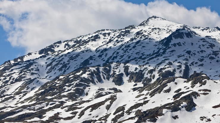 En montagne, les plantes commencent aujourd&#8217;hui à pousser en moyenne six jours plus tôt qu&#8217;il y a 25 ans, car les températures sont plus élevées après la fonte des neiges (archives).