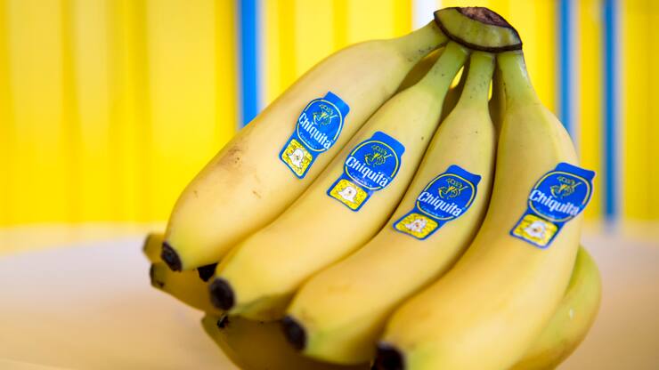 Selon Chiquita, le mouvement social au Panama, né de la contestation de la réforme des retraites adoptée par le Congrès, a conduit à "au moins 75 millions de dollars de pertes" et "des dommages irréversibles dus à ''abandon total'" des exploitations bananières. (archives)