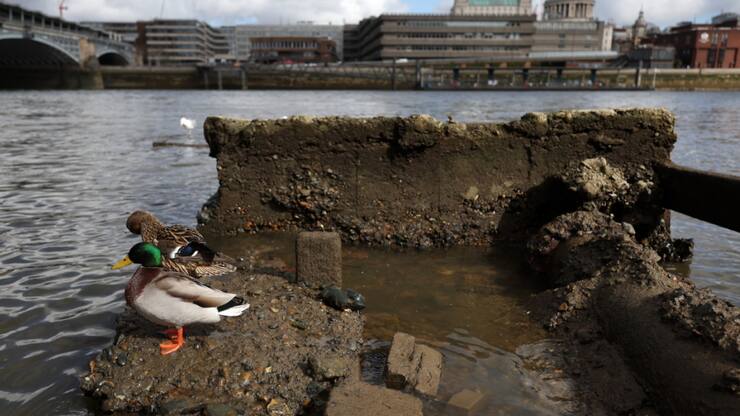 Thames Water est sous le feu des critiques en raison de déversement de quantités importantes d'eaux usées dans les cours d'eau britanniques. (archive)