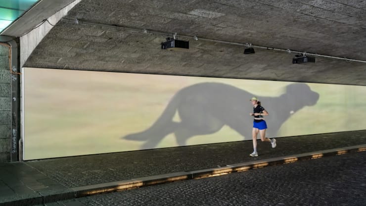 Une des installations visibles lors de cette édition 2025 d'Art Basel:  Finite/Infinite (2010) de l'artiste américain Sturtevant.