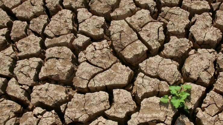 La Commission européenne a proposé début juillet de maintenir l'objectif de réduction de 90% des émissions de gaz à effet de serre en 2040 par rapport à 1990. Mais elle a introduit des "flexibilités" dans le mode de calcul, pour tenter de convaincre les pays les plus réticents.