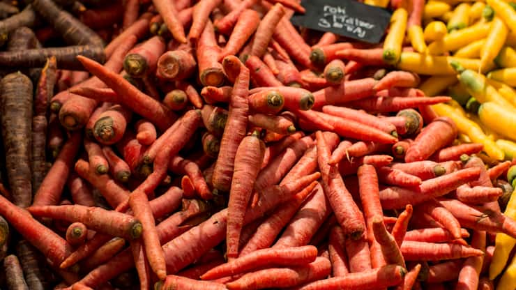 Les carottes fraîchement cueillies dans les champs sont encore impeccables, mais à la maison, dans le réfrigérateur, des taches noires peuvent apparaître. Des chercheurs suisses veulent y remédier (image d'illustration).