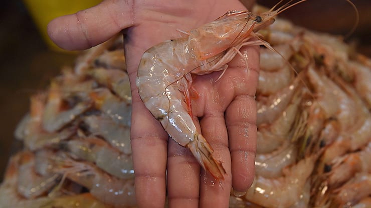 Du césium 137 a été détecté par les autorités douanières américaines dans une cargaison de crevettes congelées en provenance d'Indonésie (cliché symbolique/Keystone archives).