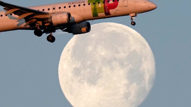 Le processus en vue de la privatisation de TAP Air Portugal a été lancé en juillet (archives).