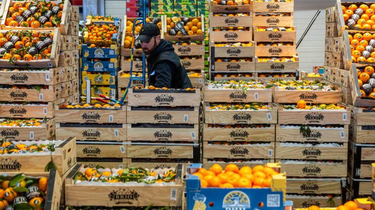 Les prix de l'limentation ont progressé un peu moins (3,2% contre 3,3% en juillet), tout comme ceux des services (-0,1 point à 3,1%). Les prix des biens industriels sont de leur côté stables à +0,8%.