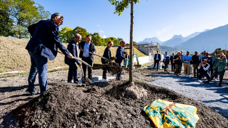 Gérard Seingre (directeur de TCM SA), Nicolas Herold (membre du Conseil d&#8217;administration de TCM SA), Franz Ruppen (conseiller d'Etat valaisan) Isabelle Moret (conseillère d'Etat vaudoise) et Fabrice Thétaz (président de la Ville de Monthey) ont symboliquement planté un chêne.