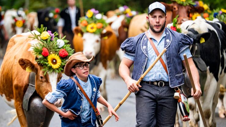 La 19e désalpe de Planfayon, fidèle à sa tradition, a été très suivie.
