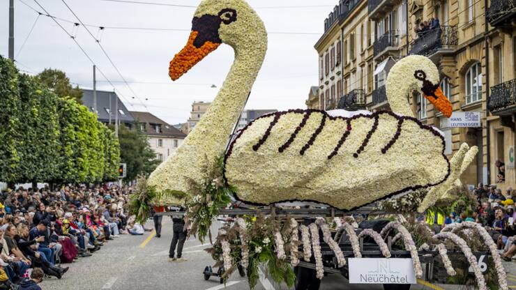 Les organisateurs de la Fête des vendanges ont vu grand cette année pour leur traditionnel corso fleuri.