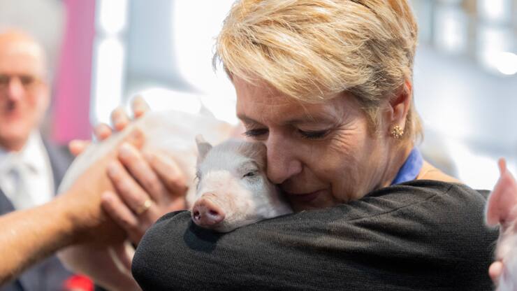 Comme le veut la tradition, la présidente de la Confédération a pris un porcelet dans ses bras.