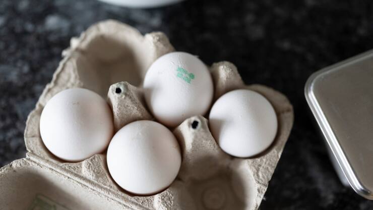 La concentration de PFAS dans les ½ufs est également liée au mode d'élevage. (Image symbolique)