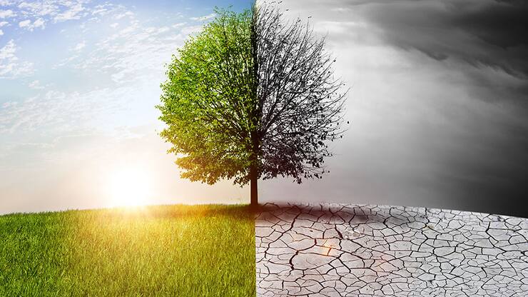 « It’s now or never »