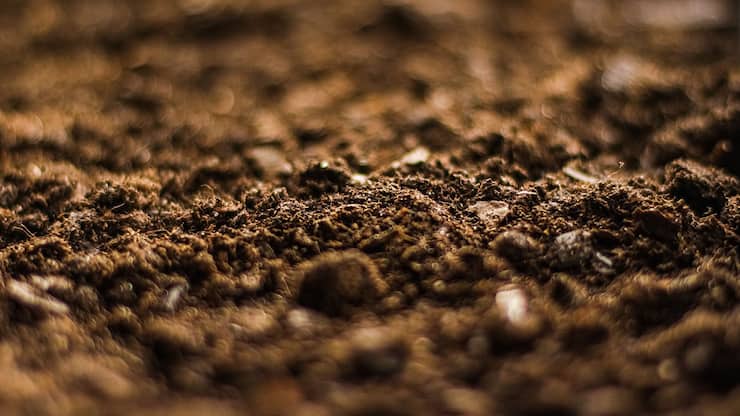 Béton, quelles alternatives durables ?