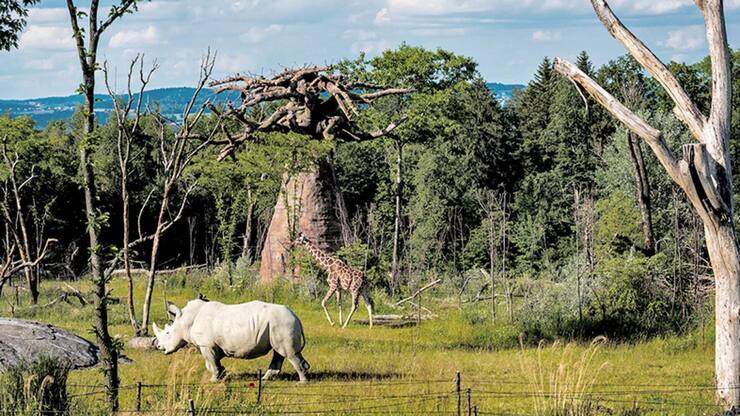 file7cgx31co0l31dd5es1l9