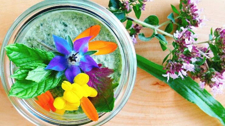 cropped-manaheartfood_veloute_fleuri