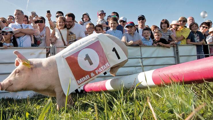 file782ldhoge1ypmopo8en