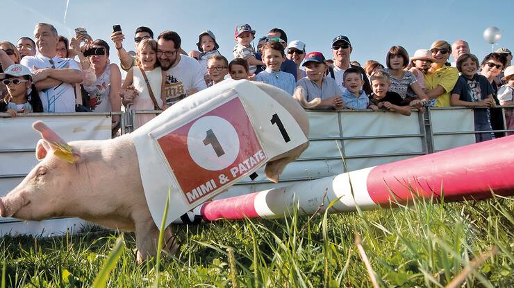 file782ldhoge1ypmopo8en