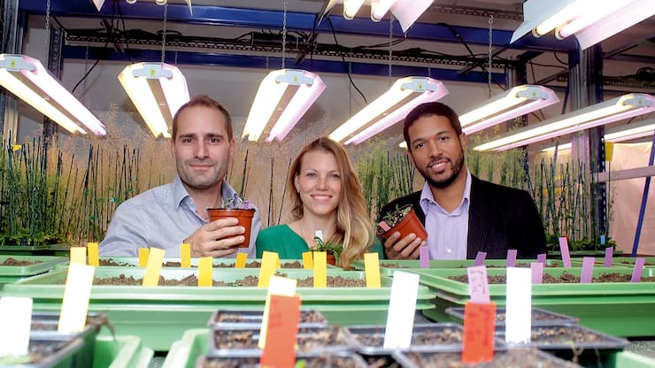 file739zu2wdhgg1aer4na62