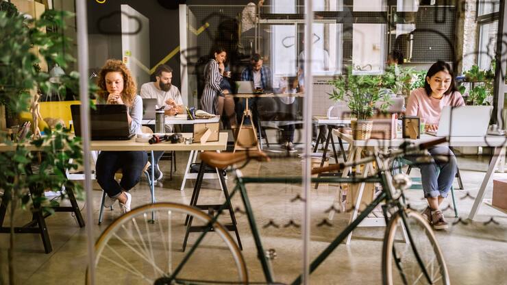 Jeune pousse : quand et comment parler de durabilité ?