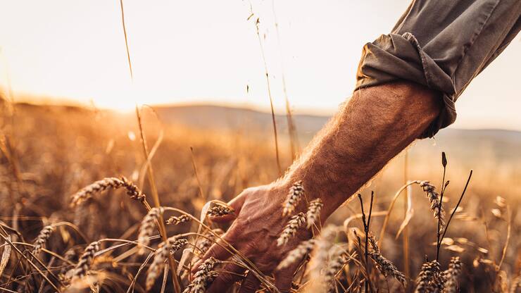 Manger mieux pour le climat
