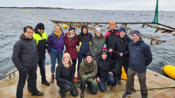 B'zeos, une alternative écologique aux plastiques.