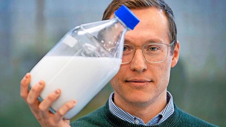 Les écailles exosquelettiques blanches du scarabée Cyphochilus ont inspiré les recherches des chercheurs d’Impossible Materials,  explique Lukas Schertel. 