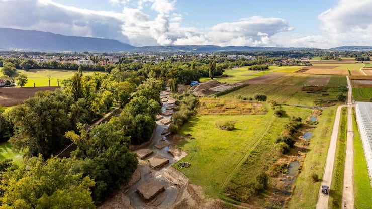 champignons décontamination