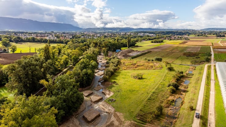 champignons décontamination