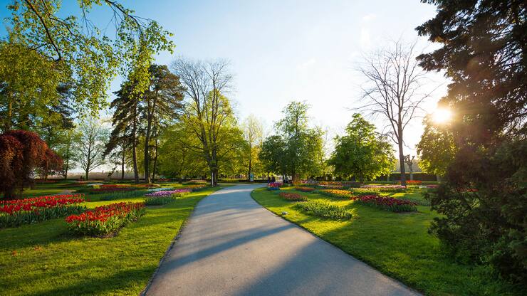 Zéro déchet: les communes passent à l’action !