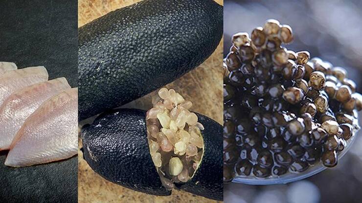 file7domhnvrx4k5hzmqbi7