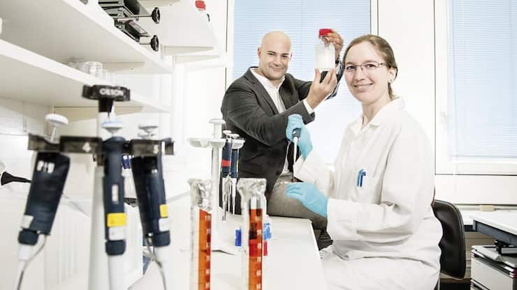 file7bzdedk6arn13rj8bc5n