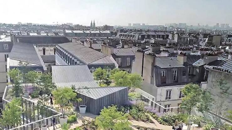 file7cvsifrann411aplqj67