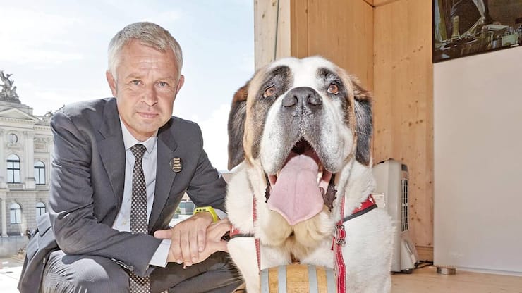 file7ap3gnll7nsmd7tkkmz