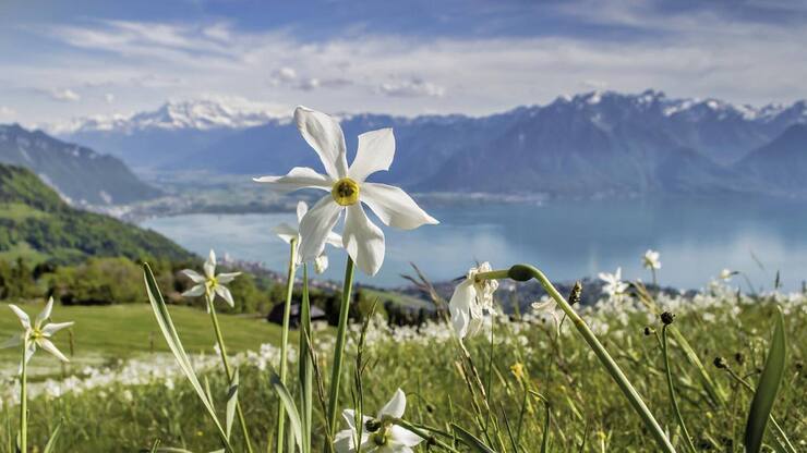 file7ammb9bylsn17lgxr9wi