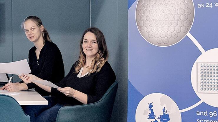 file7cvs9xxxo4nwey0w877