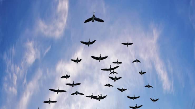 file7fiu45xb913okme17jz