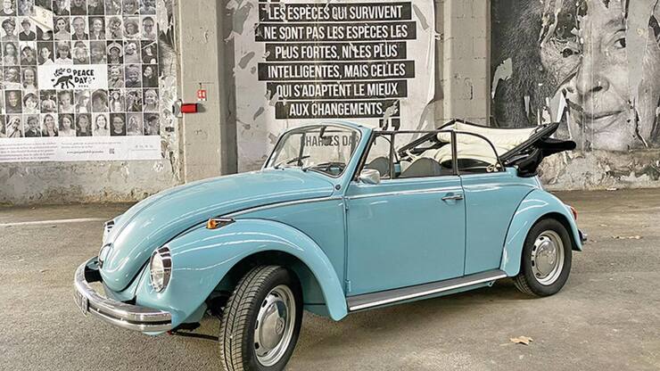 file7emf3lzv1lti2zcto5e