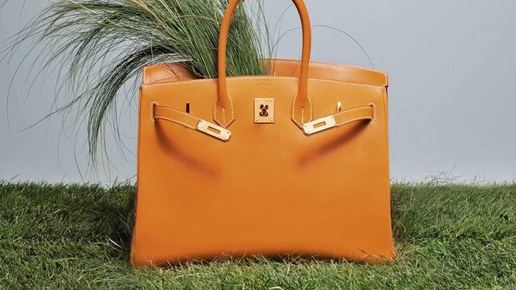 file7h8kp3hufxc8vfpwd5y