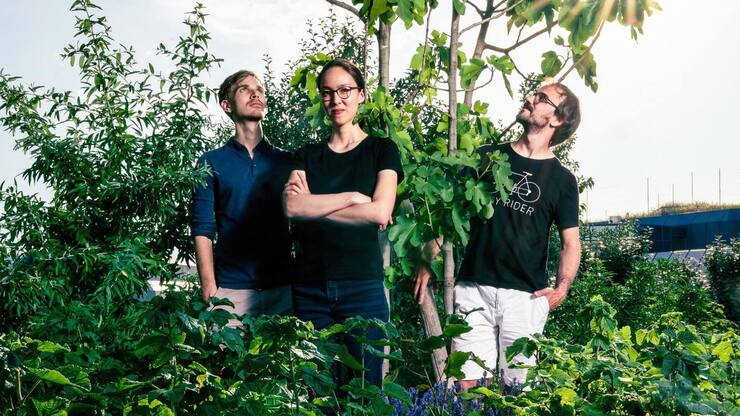 file7mk636qfgua1hgeu4agg