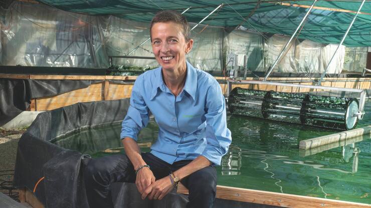 file7n9esclpjic120rr12rh