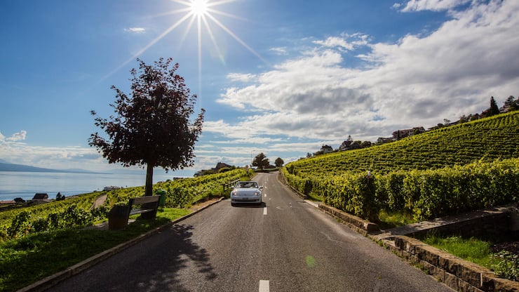 L’an dernier, les surfaces viticoles ont diminué de 52 hectares à l’échelle nationale