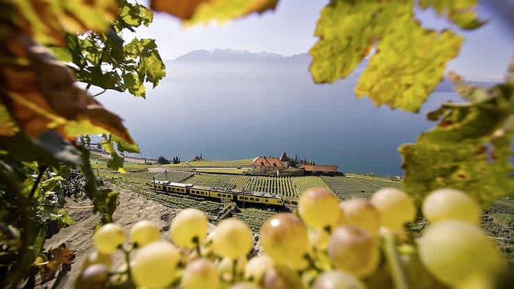 Les producteurs cherchent de plus en plus à se distinguer et à diversifier leurs sources de revenus.