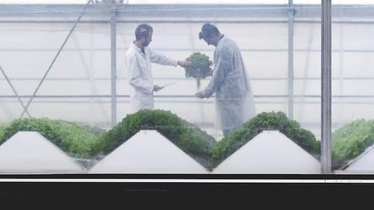 file7l27h08g23tqb8u3781